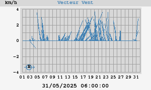 Wind Vector