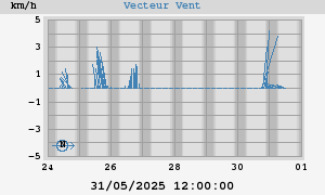 Wind Vector