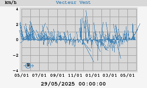 Wind Vector